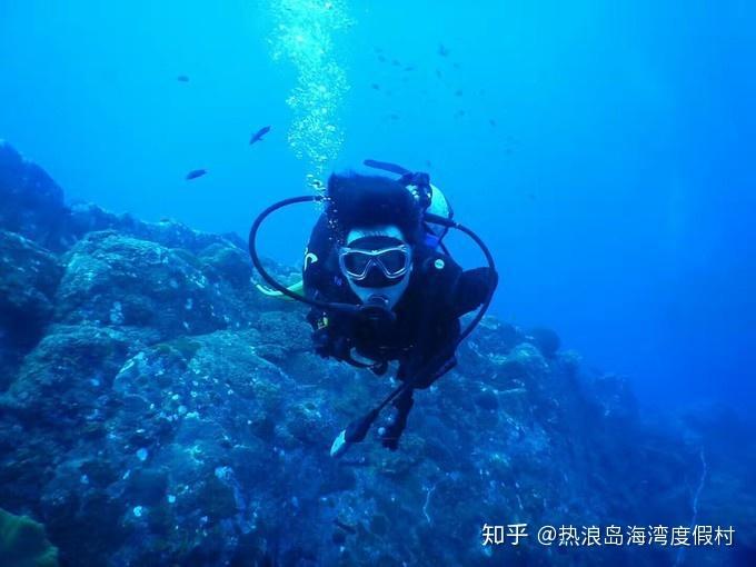 三国如龙传